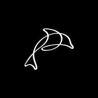 We Spot Dolphins - executive search based on cultural fit