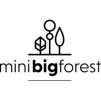 MiniBigForest
